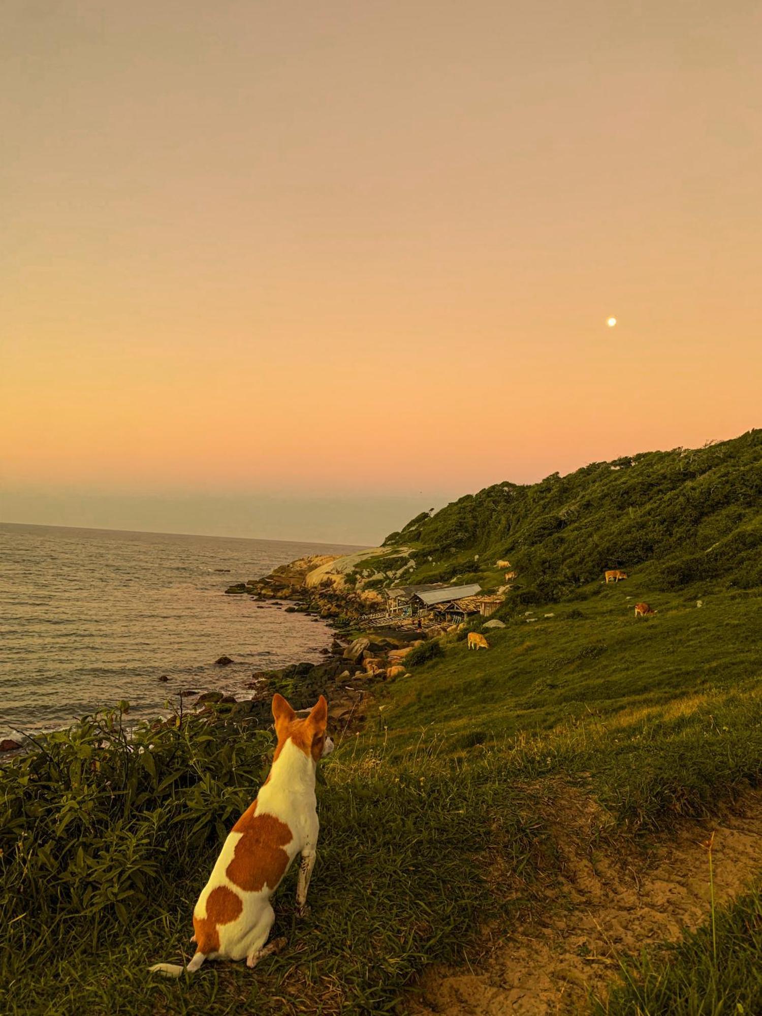 Pousada Vale Da Magia Praia do Rosa Exteriér fotografie